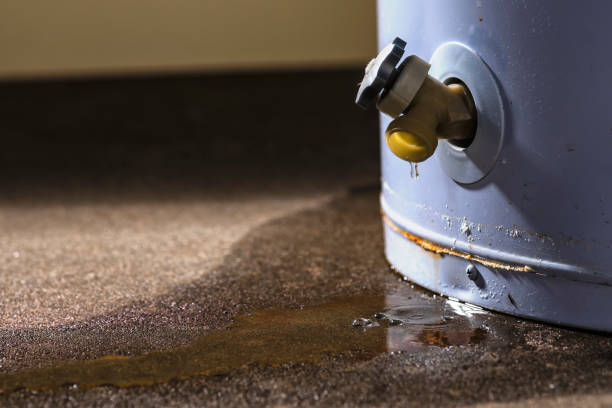 Best Professional water damage repair  in New Boston, TX