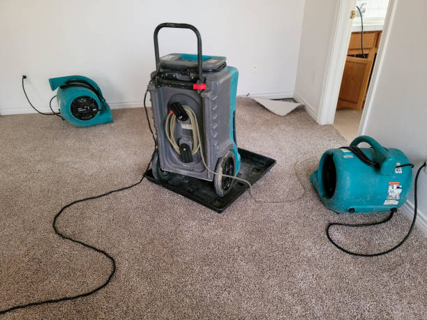 Best Basement water damage restoration  in New Boston, TX