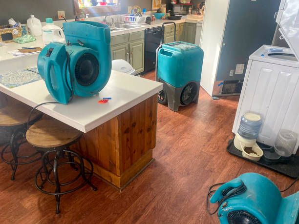 Best Ceiling water damage repair  in New Boston, TX
