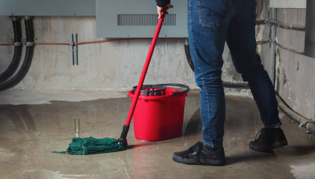 Best Professional water damage repair  in New Boston, TX