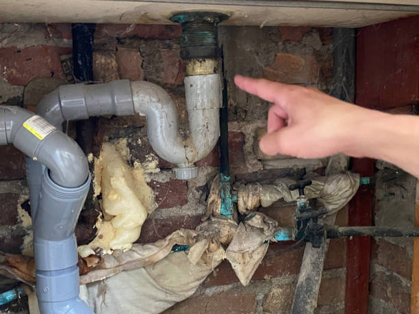 Best Carpet water damage restoration  in New Boston, TX